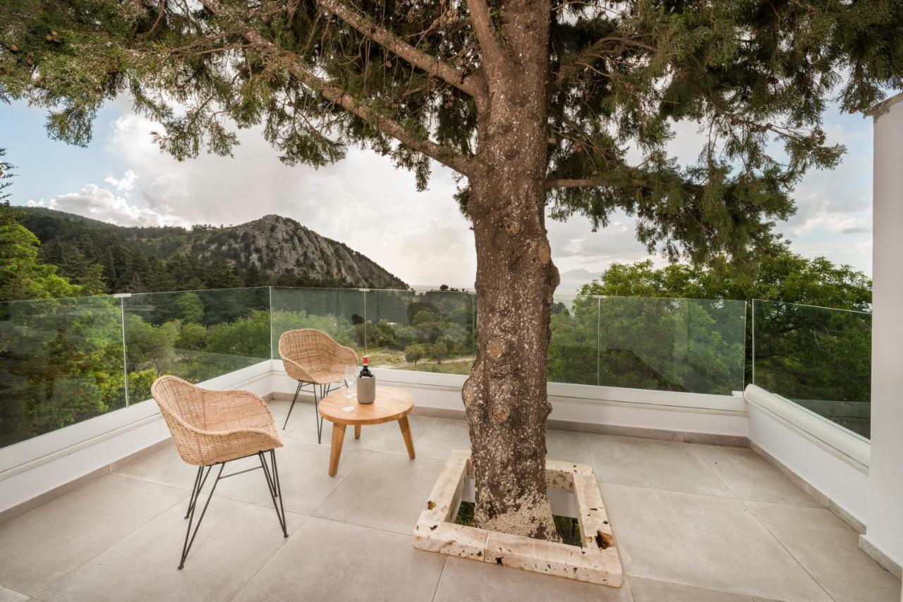 Forest View Villas 1 Lagoudi Zia Zewnętrze zdjęcie